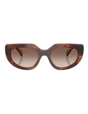 Caramel Tortoise colour