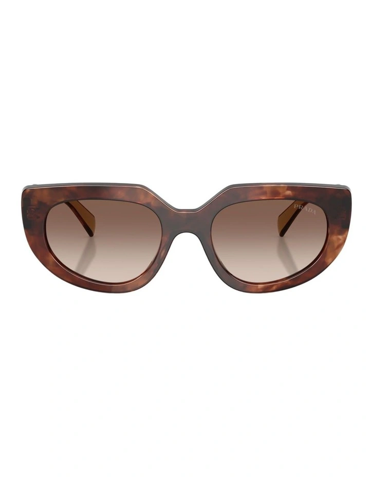 Prada Acetate Sunglasses in Tortoise image 1