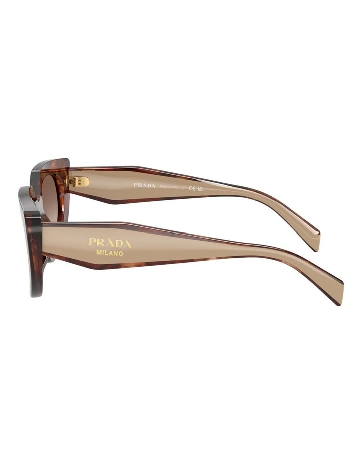 Prada Acetate Sunglasses in Tortoise image 2