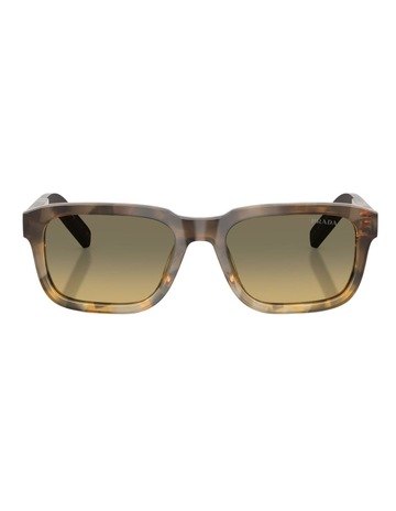 Oak Tortoise Gradient colour