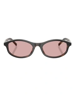 Prada  Acetate Sunglasses in Tortoise