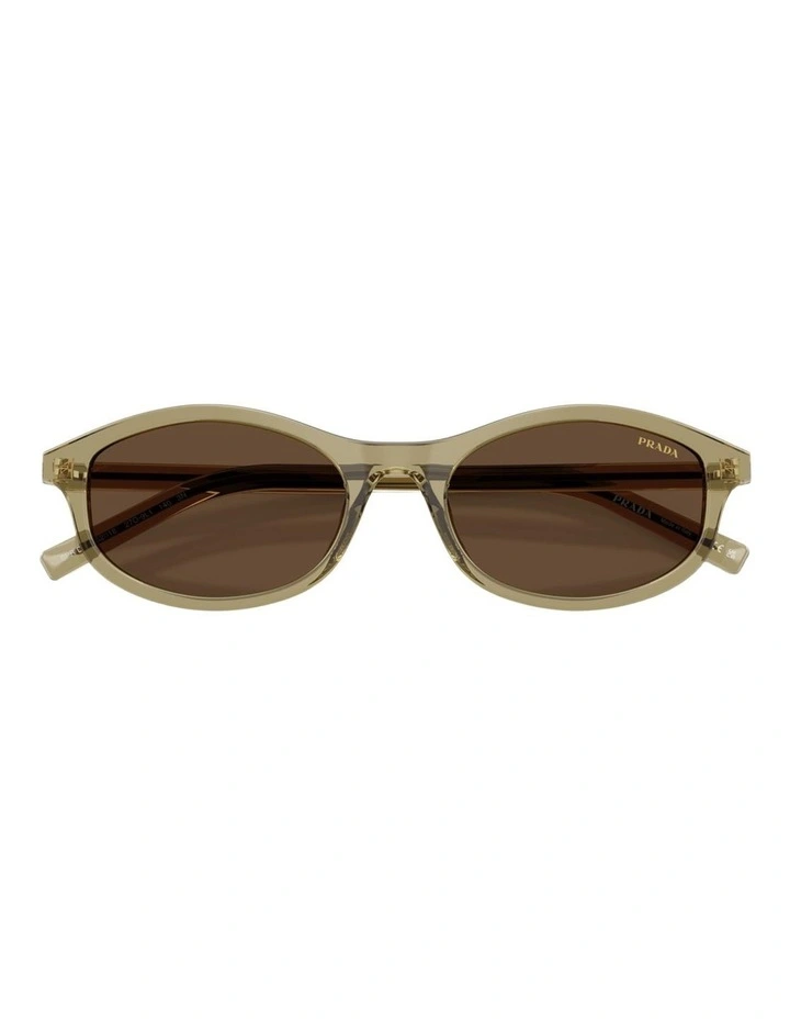 Prada Acetate Sunglasses in Green image 4