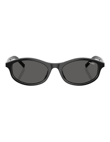 Black/basalt Horn colour