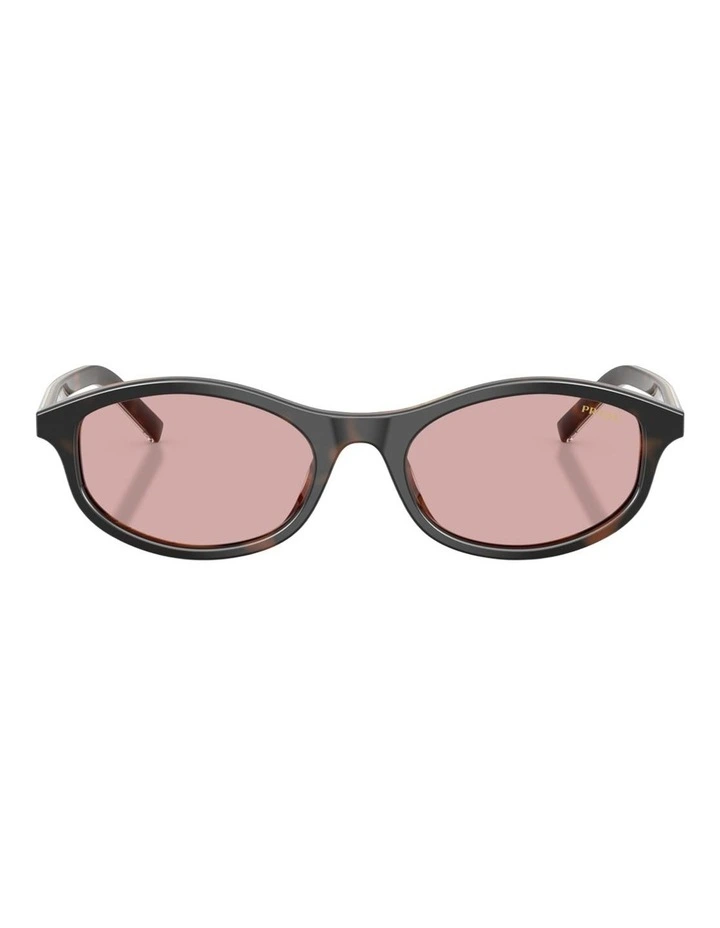 Prada PR D17SF Acetate Sunglasses in Tortoise image 1