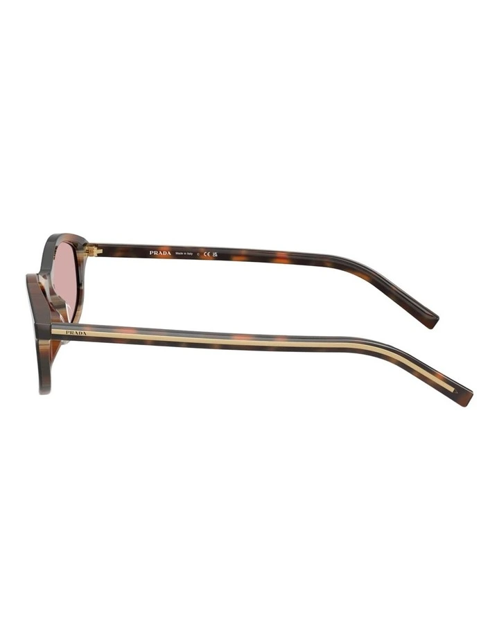 Prada PR D17SF Acetate Sunglasses in Tortoise image 2