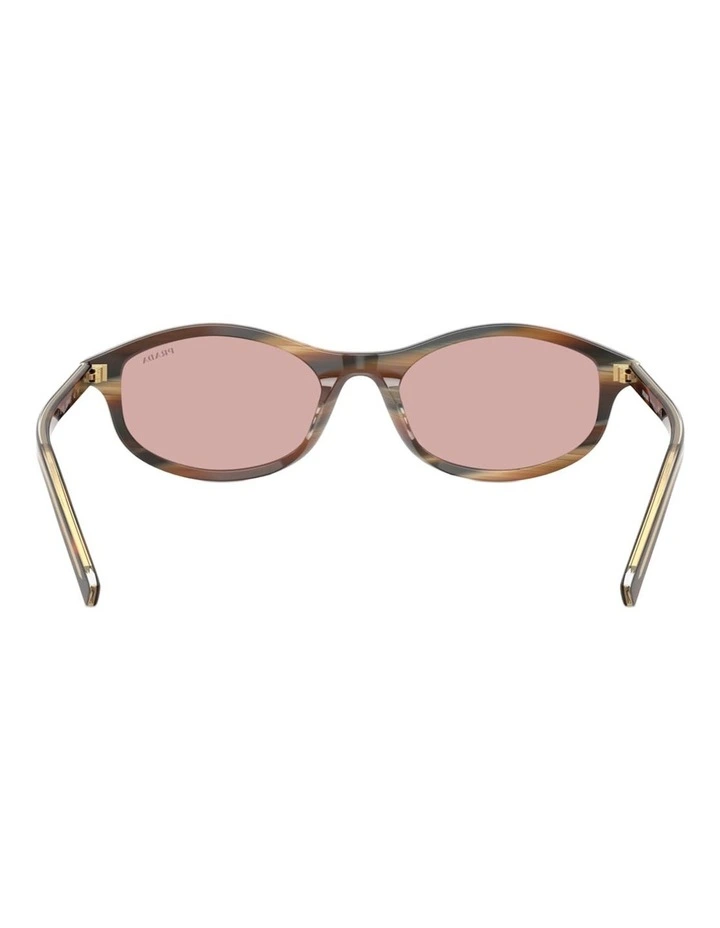 Prada PR D17SF Acetate Sunglasses in Tortoise image 3