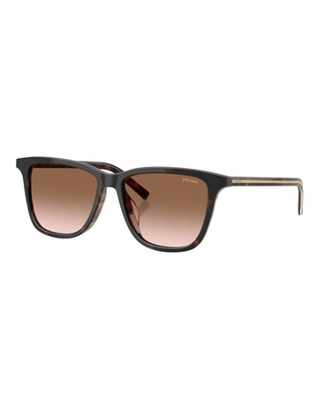 Cherry Tortoise/Tabacco Horn colour