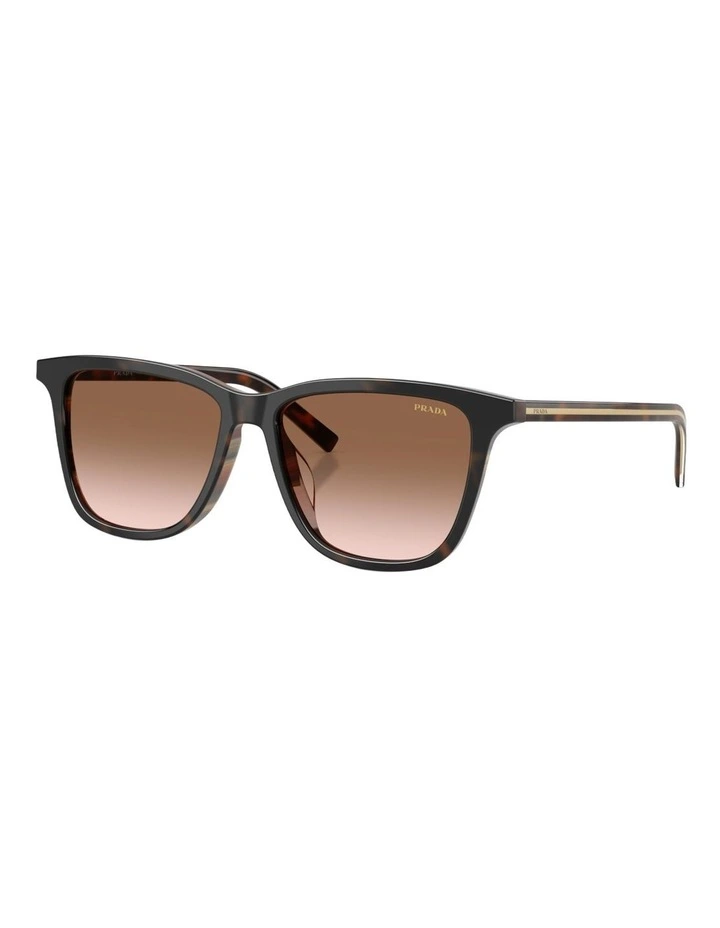 Prada Acetate Sunglasses in Tortoise image 1
