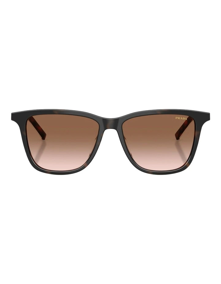 Prada Acetate Sunglasses in Tortoise image 2