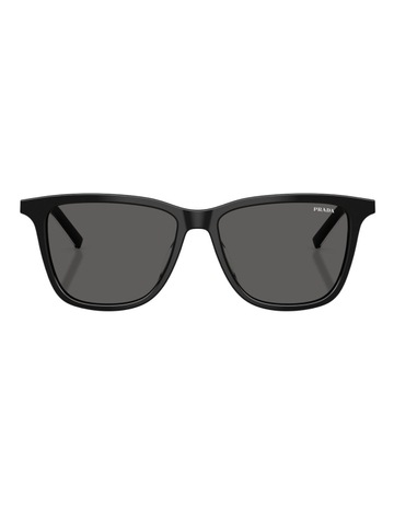 Black/basalt Horn colour