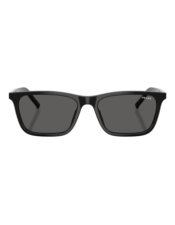 Black/basalt Horn colour