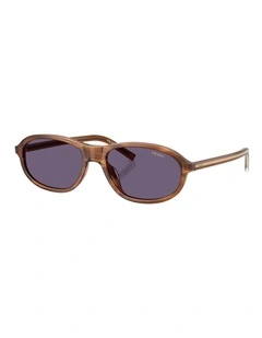 Prada  Acetate Sunglasses in Brown