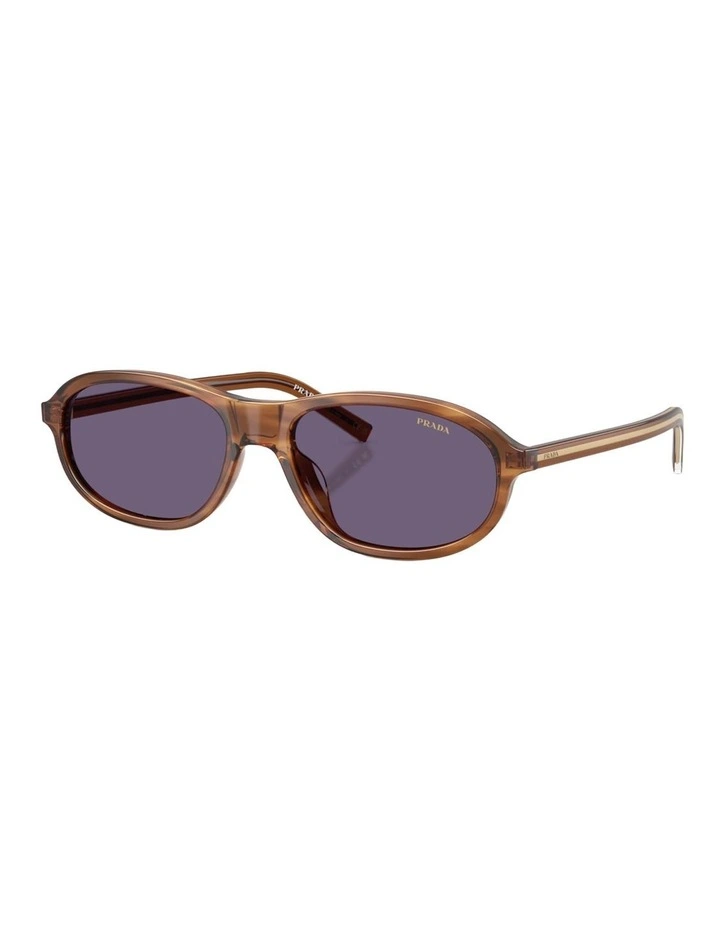 Prada Acetate Sunglasses in Brown image 1