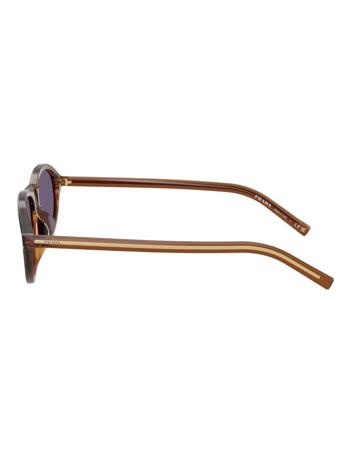 Prada Acetate Sunglasses in Brown image 3