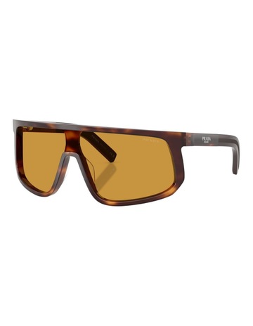 Classic Tortoise colour