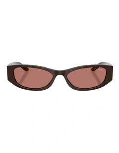 Prada  Acetate Sunglasses in Brown