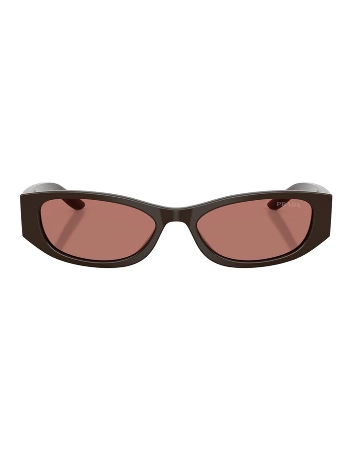 Prada Acetate Sunglasses in Brown image 1