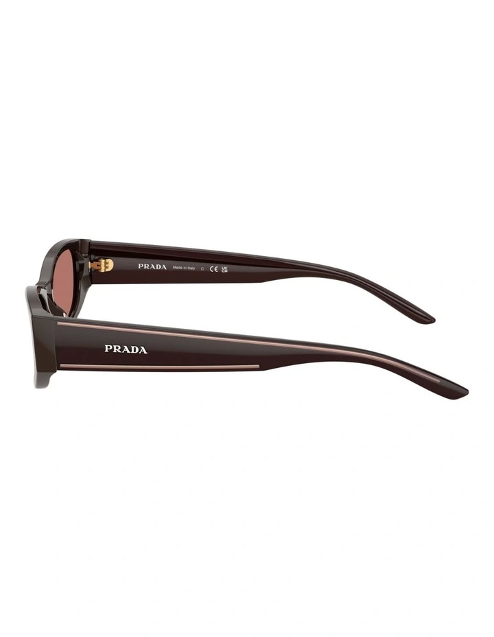 Prada Acetate Sunglasses in Brown image 2