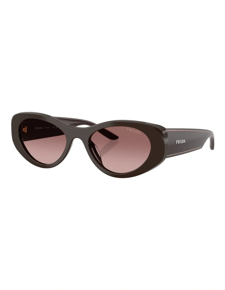 Prada Acetate Sunglasses in Brown image 1