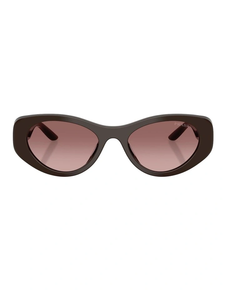 Prada Acetate Sunglasses in Brown image 2