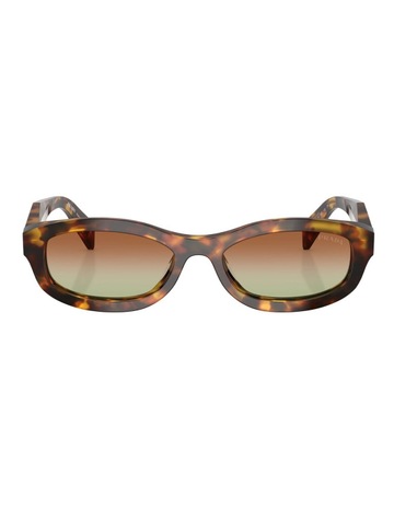 Honey Tortoise colour