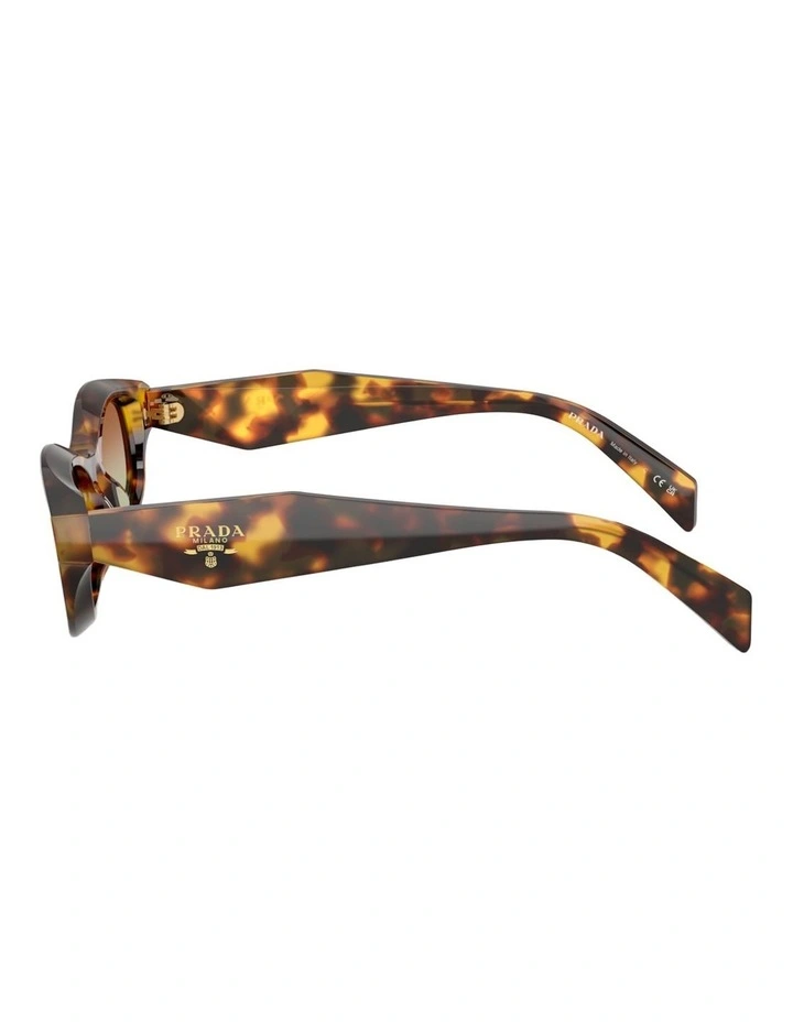 Prada Acetate Sunglasses in Tortoise image 3
