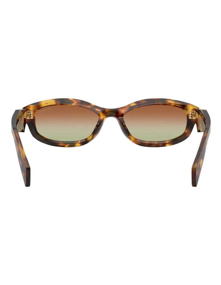 Prada Acetate Sunglasses in Tortoise image 6