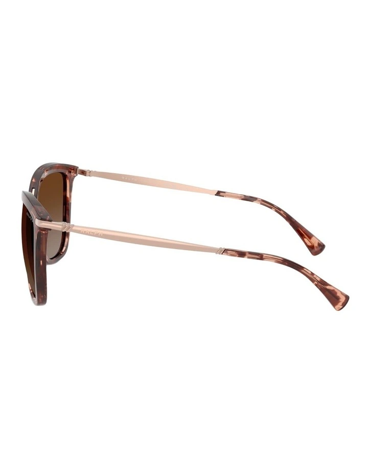 Ralph Injected Polarised Sunglasses in Tortoise image 3