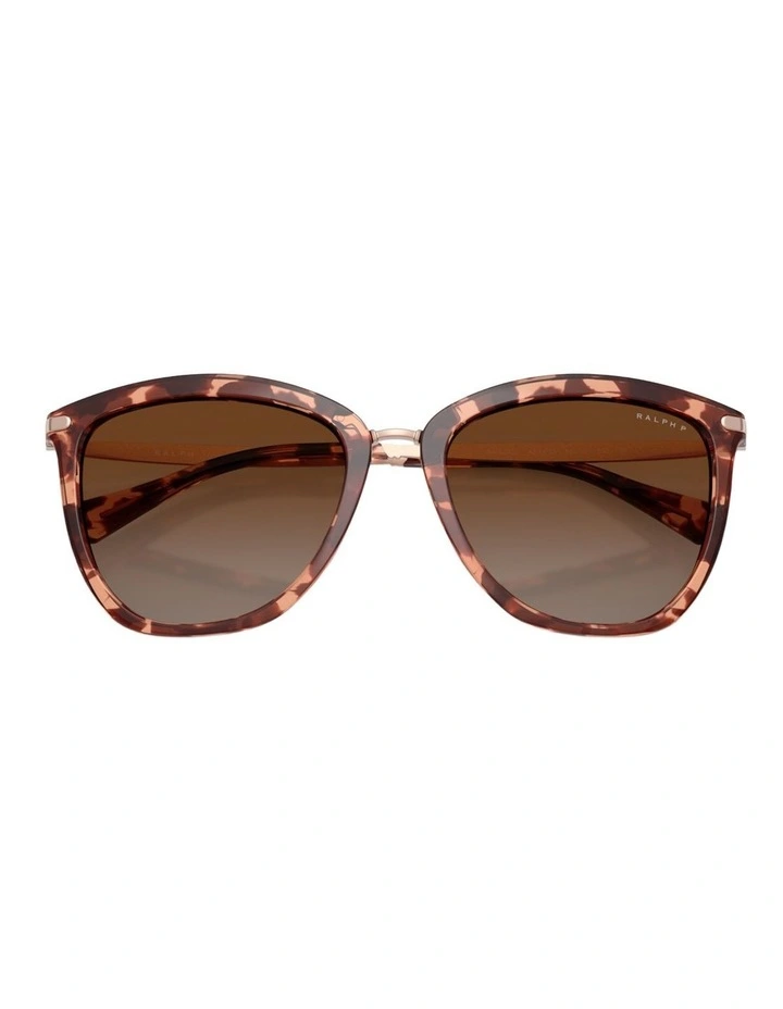 Ralph Injected Polarised Sunglasses in Tortoise image 4