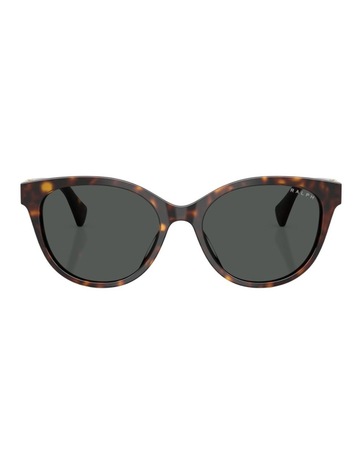 Brown Havana colour