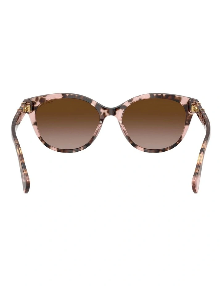 Ralph Acetate Sunglasses in Tortoise image 2