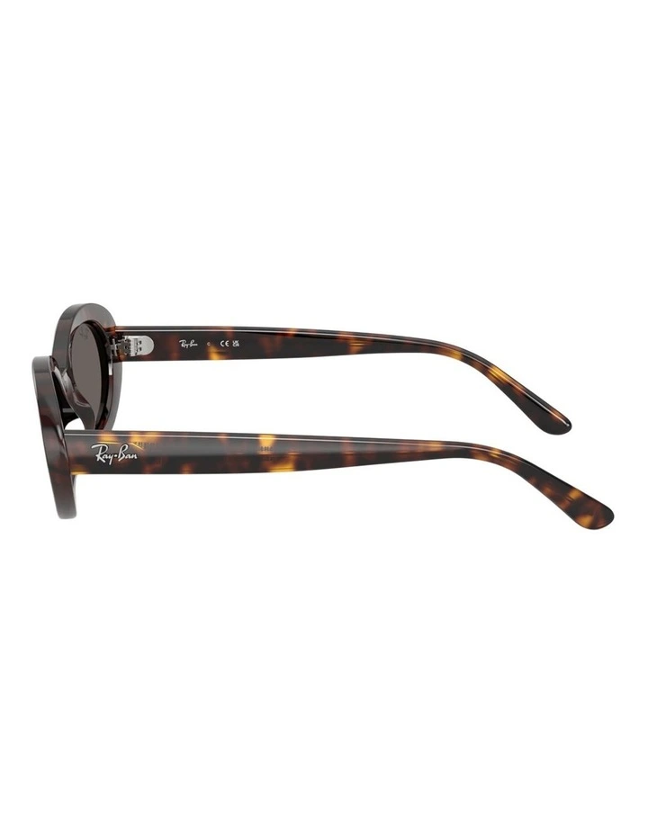 Ray-Ban RB2223 Propionate Sunglasses in Tortoise image 3