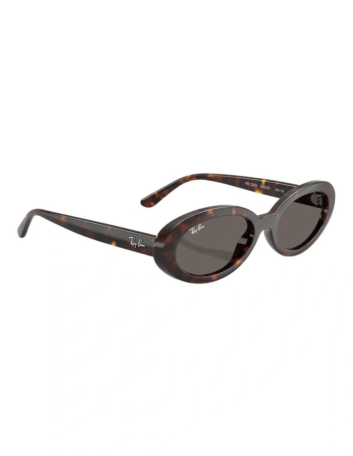 Ray-Ban RB2223 Propionate Sunglasses in Tortoise image 4