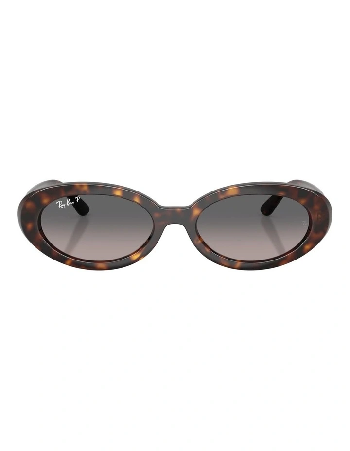Ray-Ban RB2223 Acetate Polarised Sunglasses in Tortoise image 1