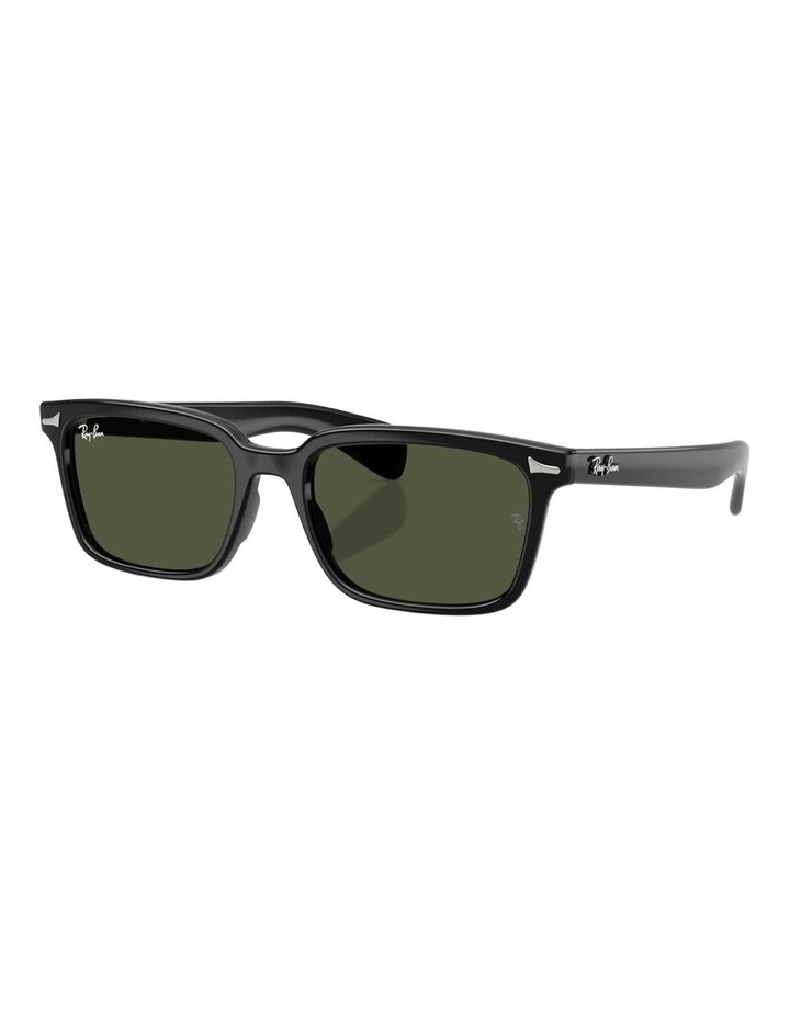 Ray-Ban Brunel Propionate Sunglasses in Black image 1