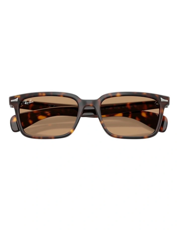 Ray-Ban Brunel Propionate Sunglasses in Tortoise image 3