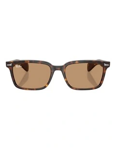 Ray-Ban Brunel Propionate Sunglasses in Tortoise