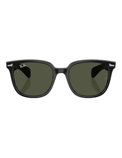 Ray-Ban Brunel II Propionate Sunglasses in Black