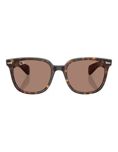 Ray-Ban Brunel II Propionate Sunglasses in Tortoise
