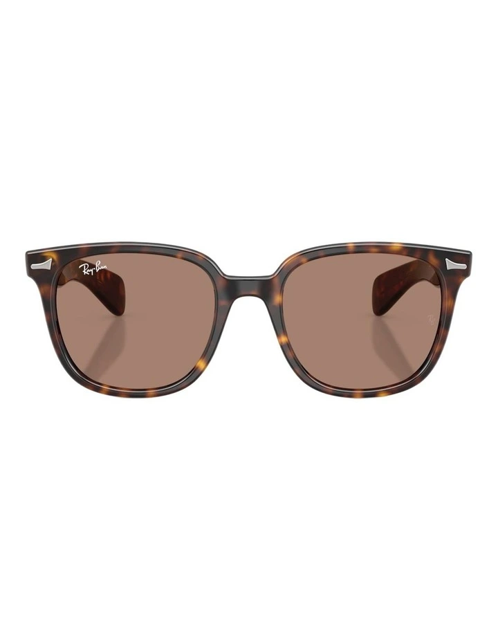 Ray-Ban Brunel II Propionate Sunglasses in Tortoise image 1