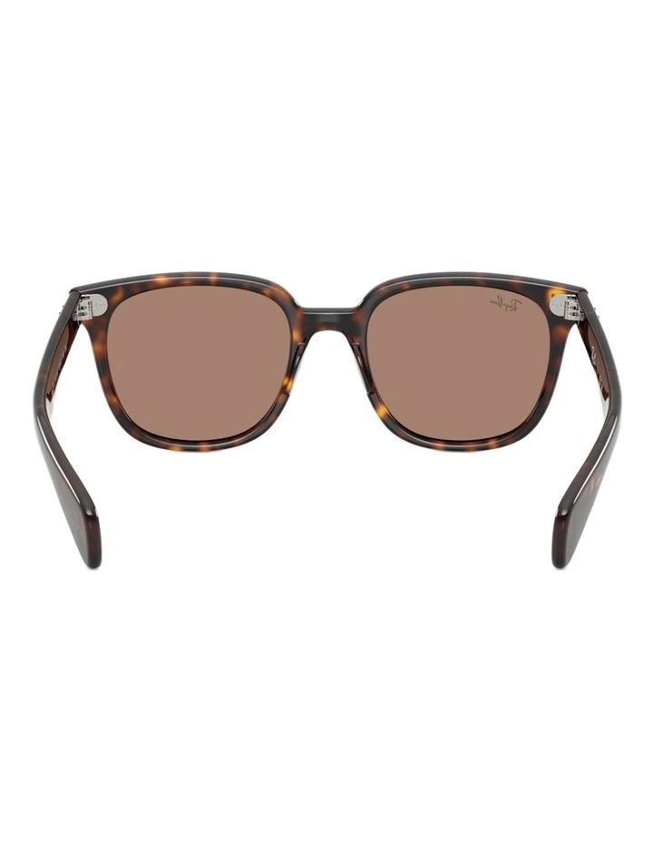 Ray-Ban Brunel II Propionate Sunglasses in Tortoise image 2