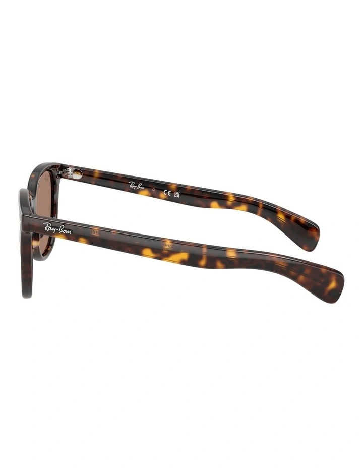 Ray-Ban Brunel II Propionate Sunglasses in Tortoise image 3