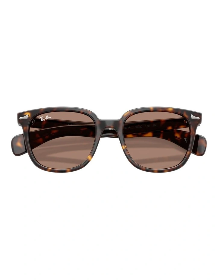 Ray-Ban Brunel II Propionate Sunglasses in Tortoise image 4
