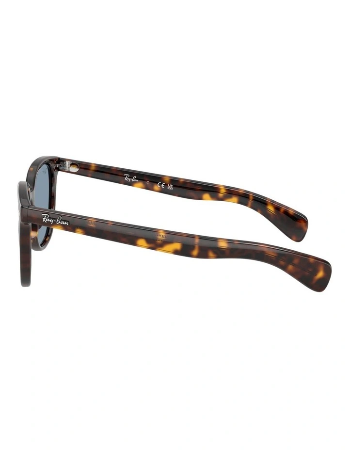 Ray-Ban Brunel II Propionate Sunglasses in Tortoise image 3