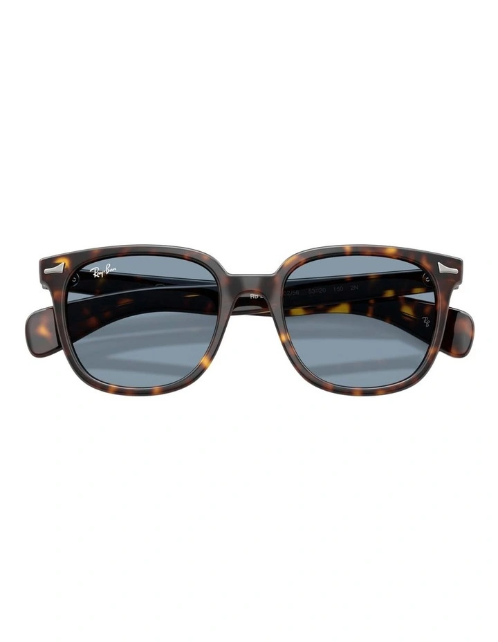 Ray-Ban Brunel II Propionate Sunglasses in Tortoise image 4