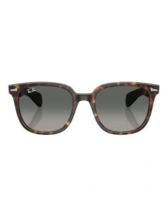 Ray-Ban Brunel II Propionate Sunglasses in Tortoise