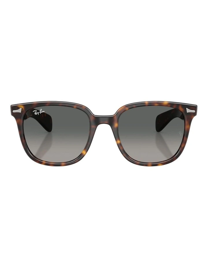 Ray-Ban Brunel II Propionate Sunglasses in Tortoise image 1