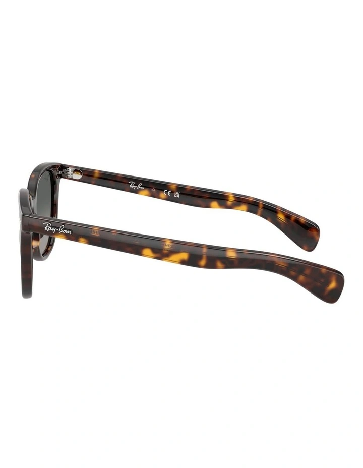 Ray-Ban Brunel II Propionate Sunglasses in Tortoise image 2