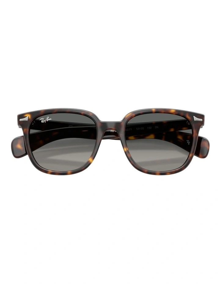 Ray-Ban Brunel II Propionate Sunglasses in Tortoise image 3
