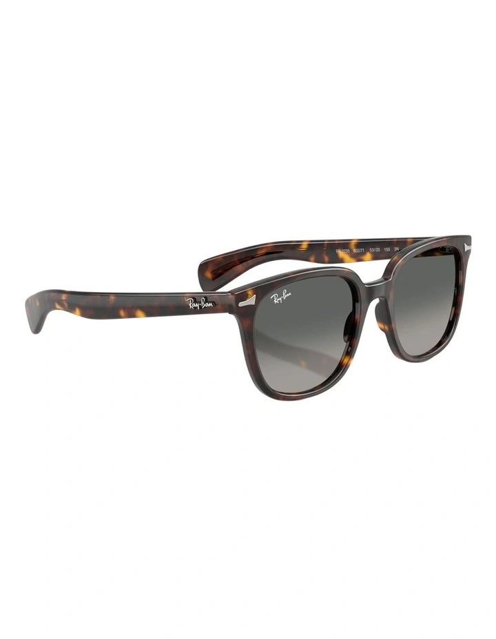 Ray-Ban Brunel II Propionate Sunglasses in Tortoise image 4